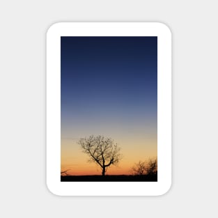 Kansas Sunset at Twilight with a Tree silhouette Magnet