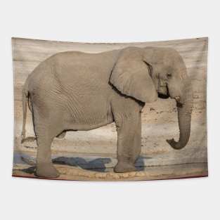 Namibia. Etosha National Park. Elephant at the Waterhole. Tapestry