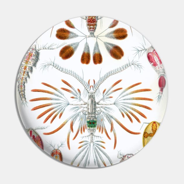 Copepoda by Ernst Haeckel Pin by MasterpieceCafe