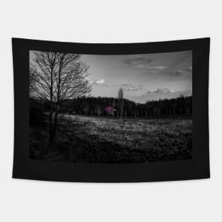 Selective-Colour Blossom Tapestry