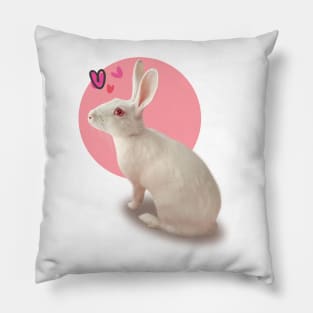 Rabbit Pillow