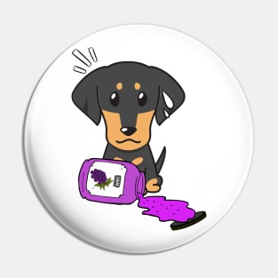 Naughty Dachshund Spills a jar of grape jam! Pin