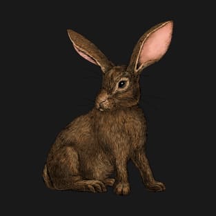 Rabbit 4 T-Shirt