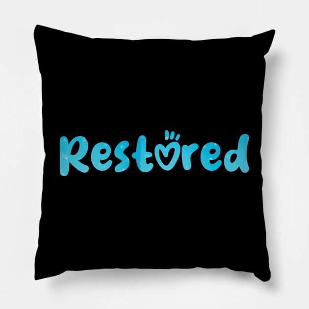 Restored Pillow by Z And Z