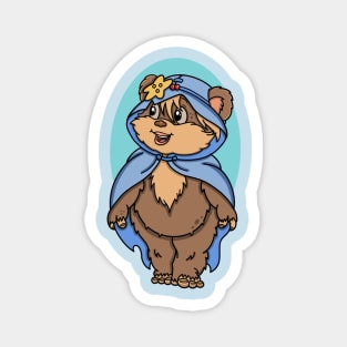 Cloaked Bear Magnet