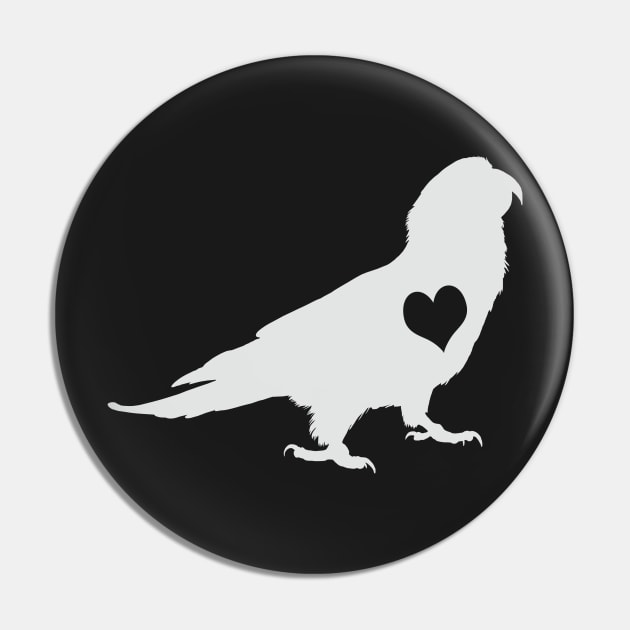 Adore Conures Pin by Psitta