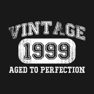 Vintage 1999 Birthday Gift, 22 Years Old Birthday, Born in 1999 T-Shirt