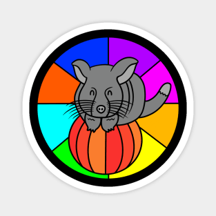 Cute Long-tailed Chinchilla Magnet