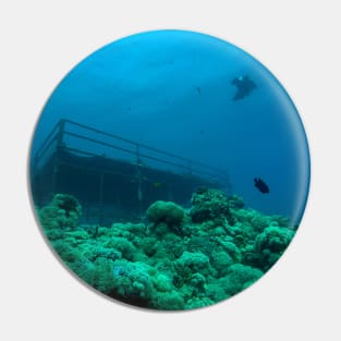 Coral reef and scuba diver Pin