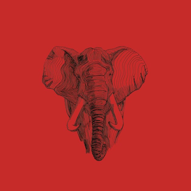 African Elephant by WTW