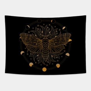 Satin Moth | Moon Phases Tapestry