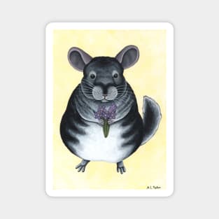 Chinchilla with Flowers Magnet