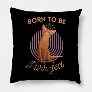 Born to be Purr-fect - Abyssinian Cat Lover Pillow