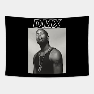 DMX Tapestry