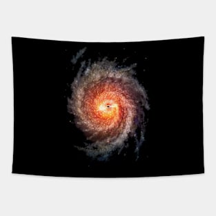 Black Hole Tapestry