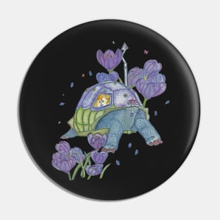 Tortoise on the move Pin