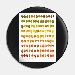 Colours of Autumn Pin