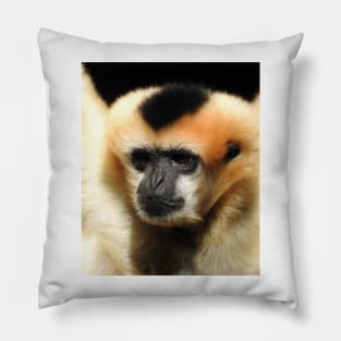 White-cheeked gibbon Pillow