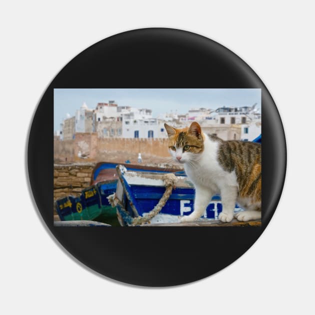 Maroc - Chat d'Essaouira Pin by rollier