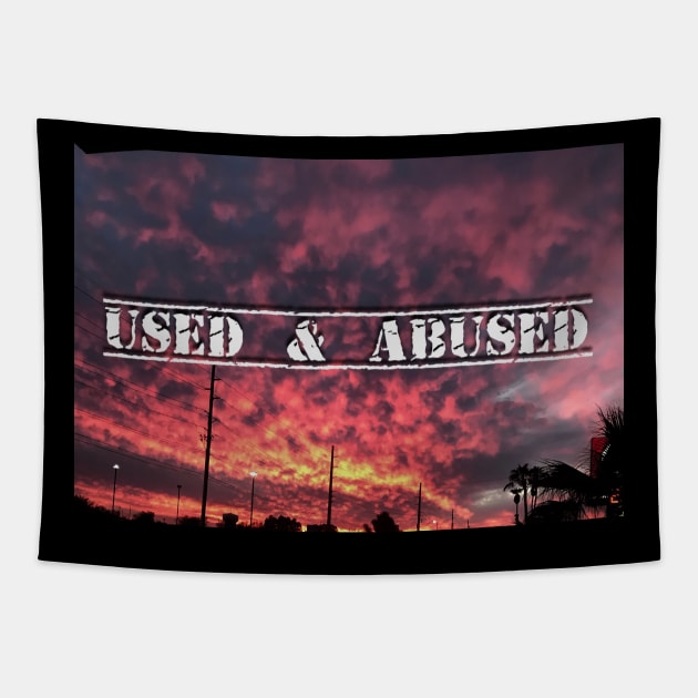 Fire In The Sky Tapestry by Used & Abused Pod