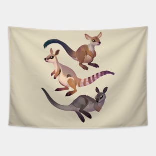 Rock Wallabies Tapestry