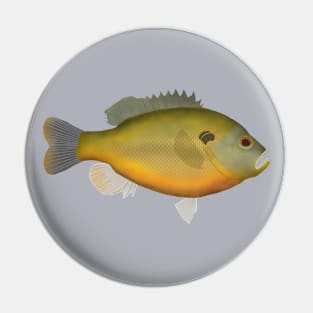 Redspotted Sunfish Pin