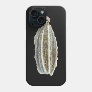 Carrot seed under microscope Phone Case