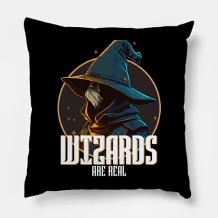 Wizards are real Pillow