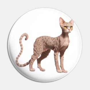 Devon Rex cat Pin