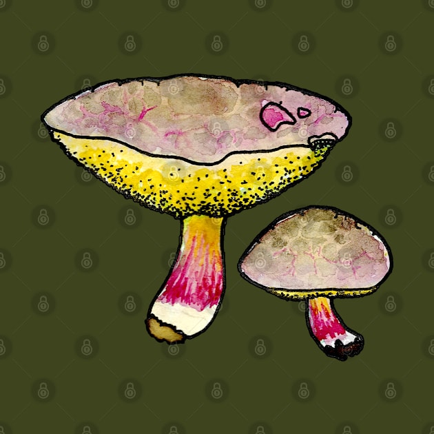 Red Cracking Bolete by ThisIsNotAnImageOfLoss