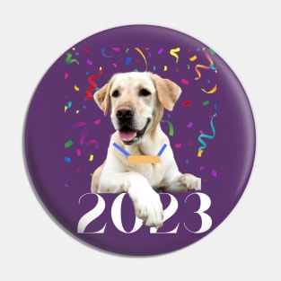 New Year 2023 Celebrate Pin