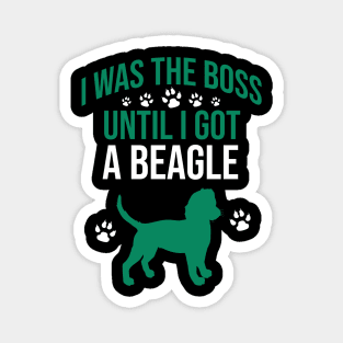 I was the boss until I got a beagle Magnet