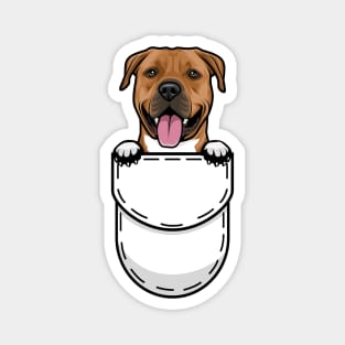 Funny American Staffordshire Terrier Pocket Dog Magnet