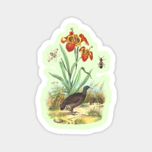 Wildlife Tropical Illustration Magnet