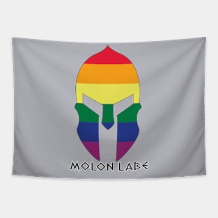 Rainbow Spartan Helmet Tapestry