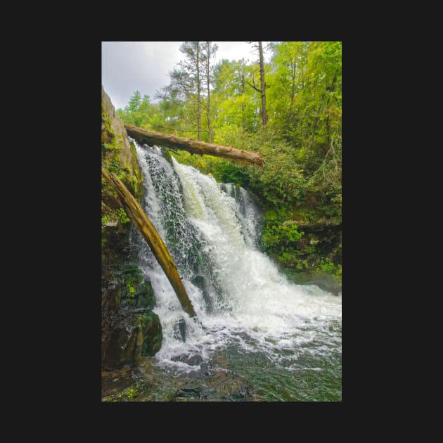 Abrams Falls, Great Smoky Mountains by BrianPShaw