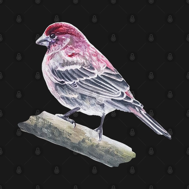 House Finch bird painting (no background) by EmilyBickell