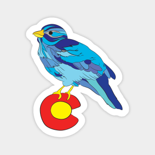 Colorado bluebird sky Magnet