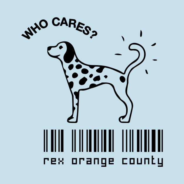 rex orange county who cares scan by Pop-clothes