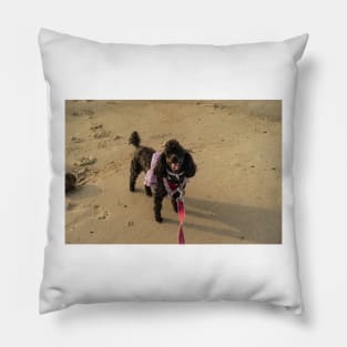 Toy poodle at beach Pillow