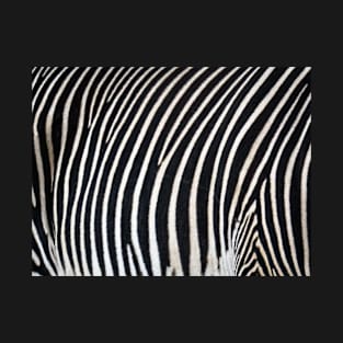 Zebra print T-Shirt