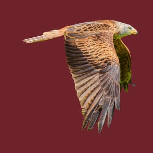 Red Kite in flight T-Shirt