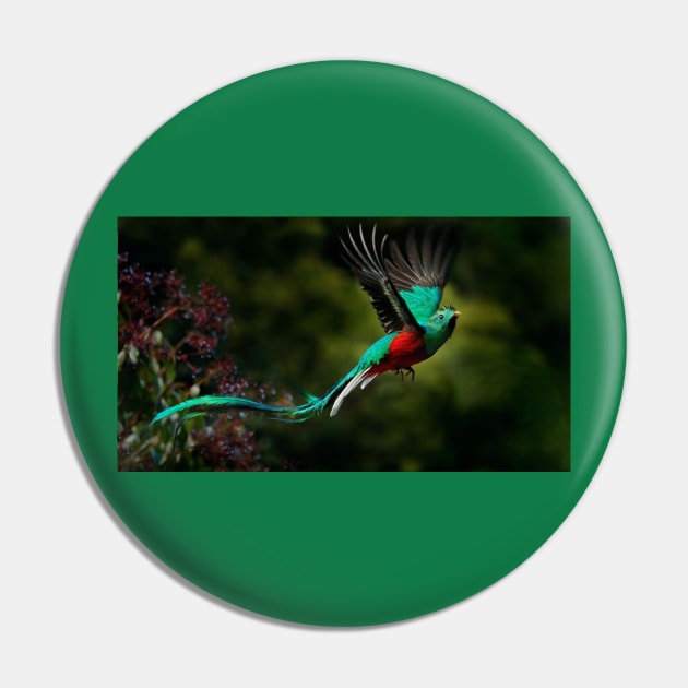 El Quetzal Pin by DAVT