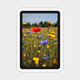 Wildflower meadow Magnet