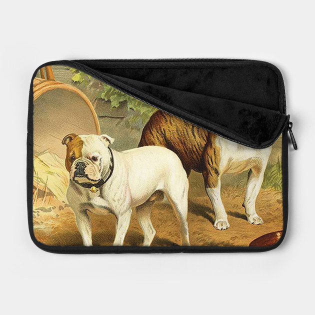 Vintage Painting Of English Bulldogs English Bulldogs Painting