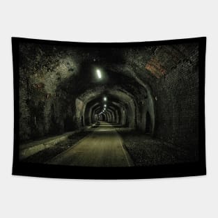 Cressbrook Tunnel, Monsal Trail, Peak District, Derbyshire Tapestry