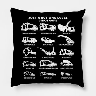 Types of Dinosaurs Just a boy who loves dinosaurs Pillow