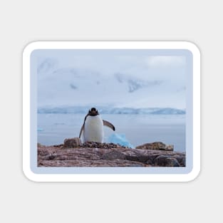 PENGUIN LANDSCAPE Magnet