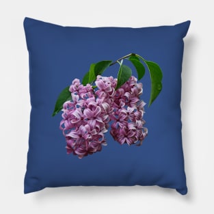 Lilacs - Pink Lilac Duo Pillow