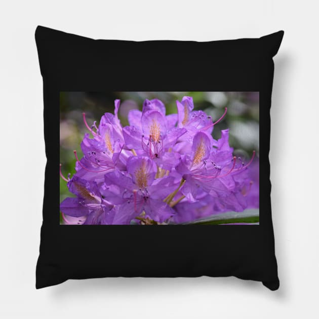 Purple pink flowers facemask Pillow by fantastic-designs